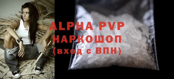 индика Осинники