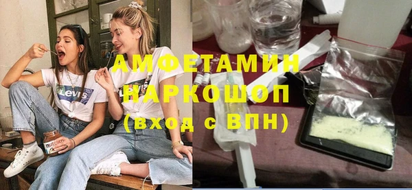 индика Осинники