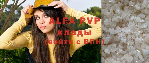 индика Осинники