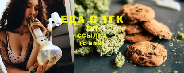 индика Осинники