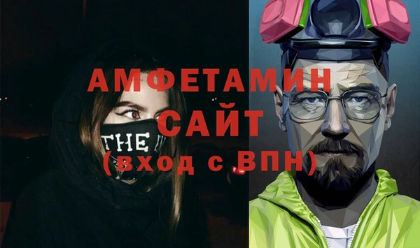 индика Осинники